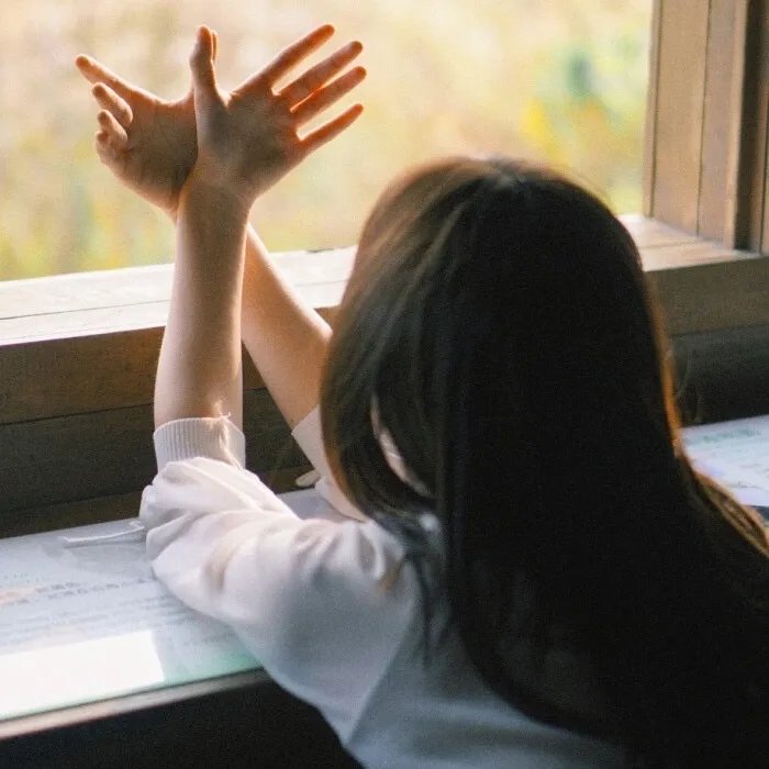 澳岛风起遇良人